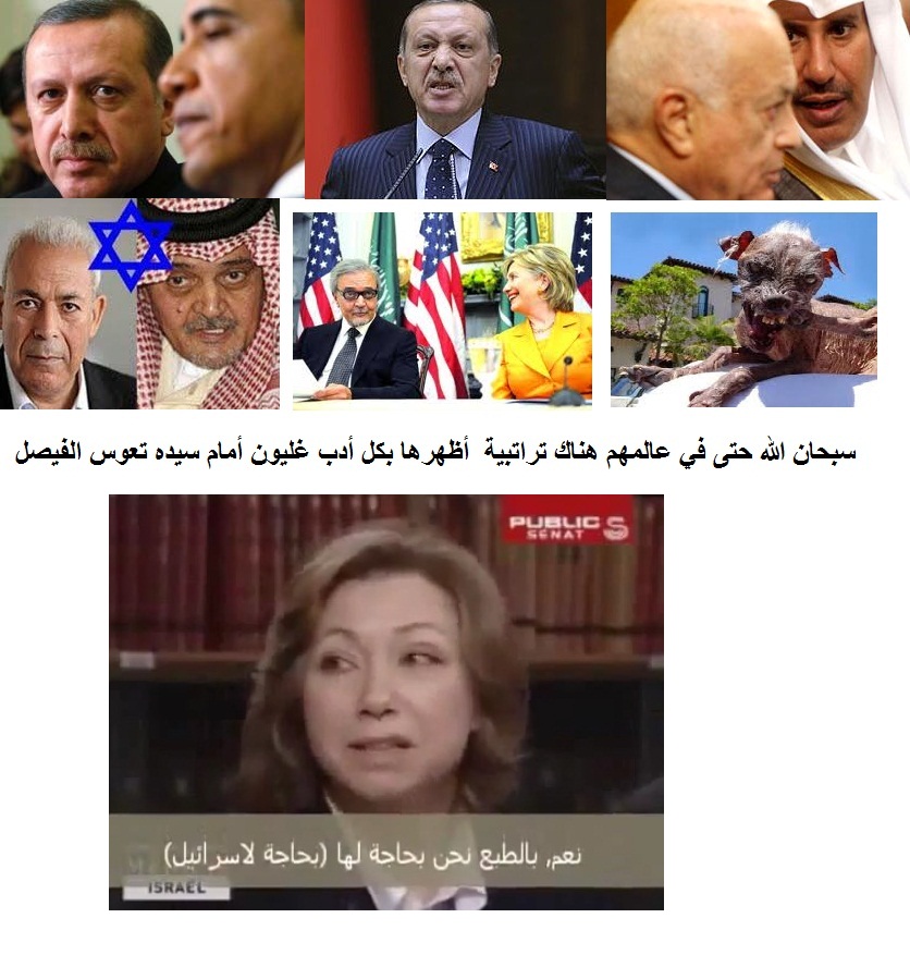 غليون ليكس: المال القطري والديموقـراطية المفقودة.